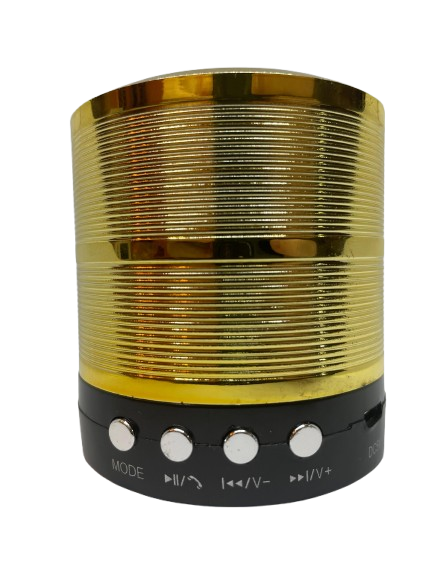Mini Caixa De Som Portátil Speaker WS-887