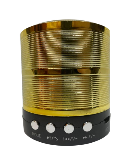 Mini Caixa De Som Portátil Speaker WS-887